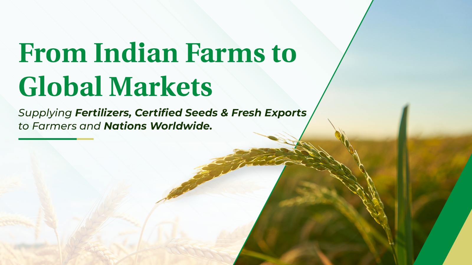 WhatsApp Image 2025-09-28 at 11.31.29 PM