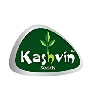 KASHVIN