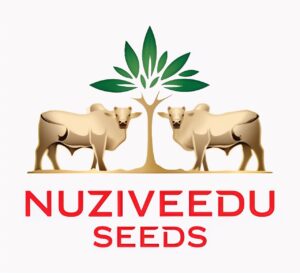 NUZIVEEDU